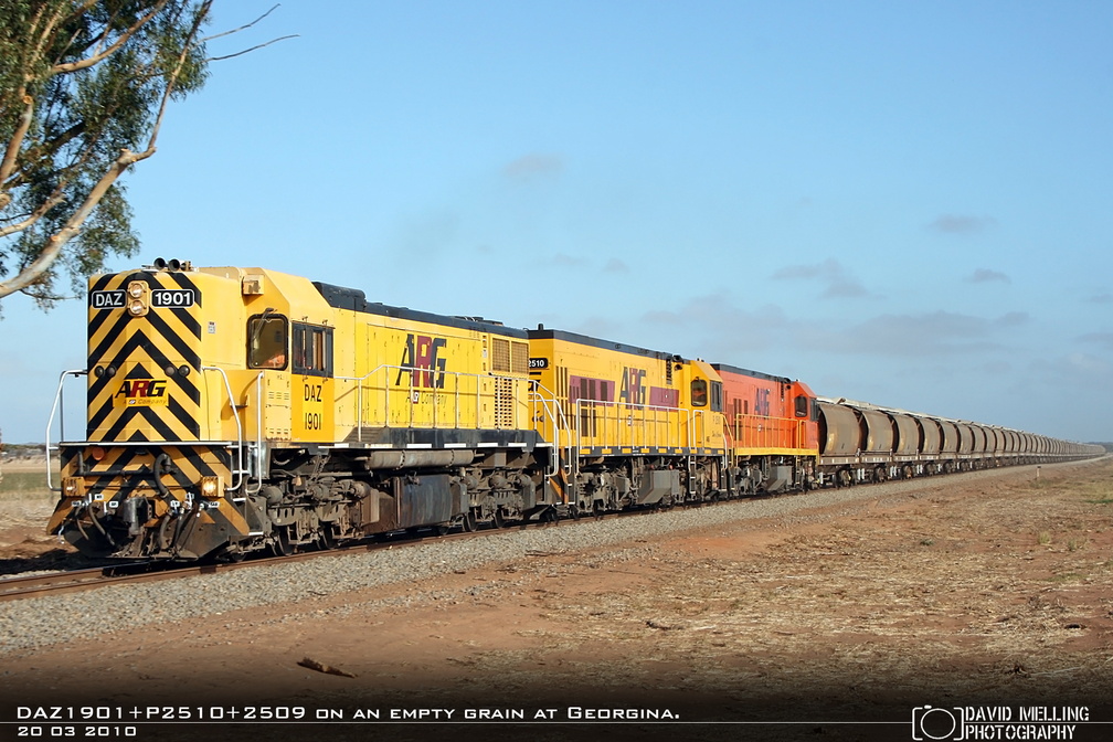 DAZ1901+P2510+2509 on an empty grain at Georgina. 20.03.2010.jpg