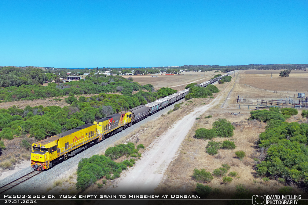 P2503-2505 on 7G52 empty grain to Mingenew at Dongara. 27.01.2024.png