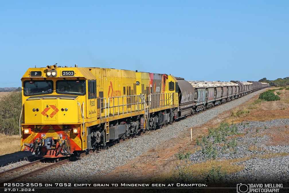 P2503-2505 on 7G52 empty grain to Mingenew seen at Crampton. 27.01.2024.png
